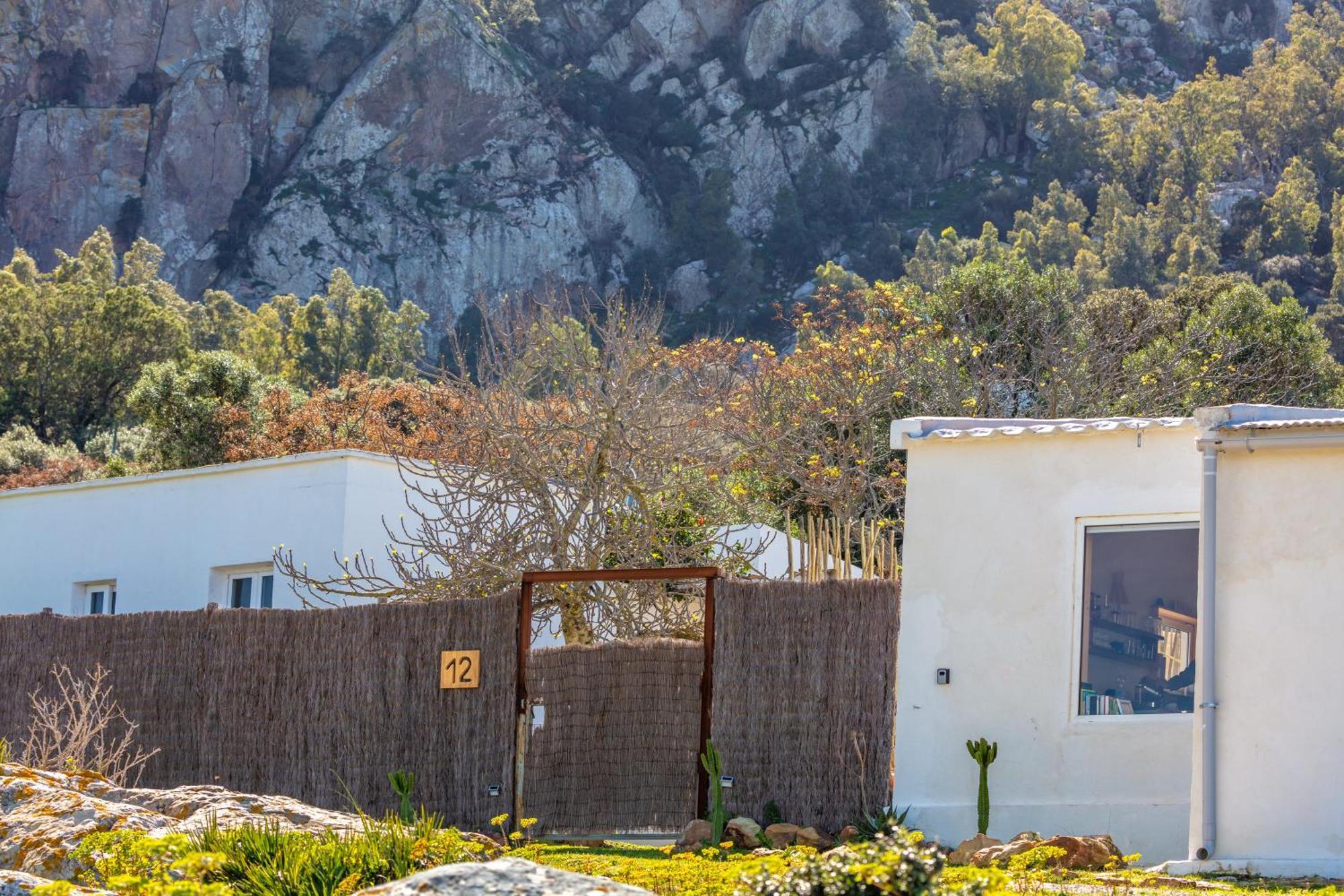 Casa Cortijo Piscina Privada Y Sauna タリファ エクステリア 写真