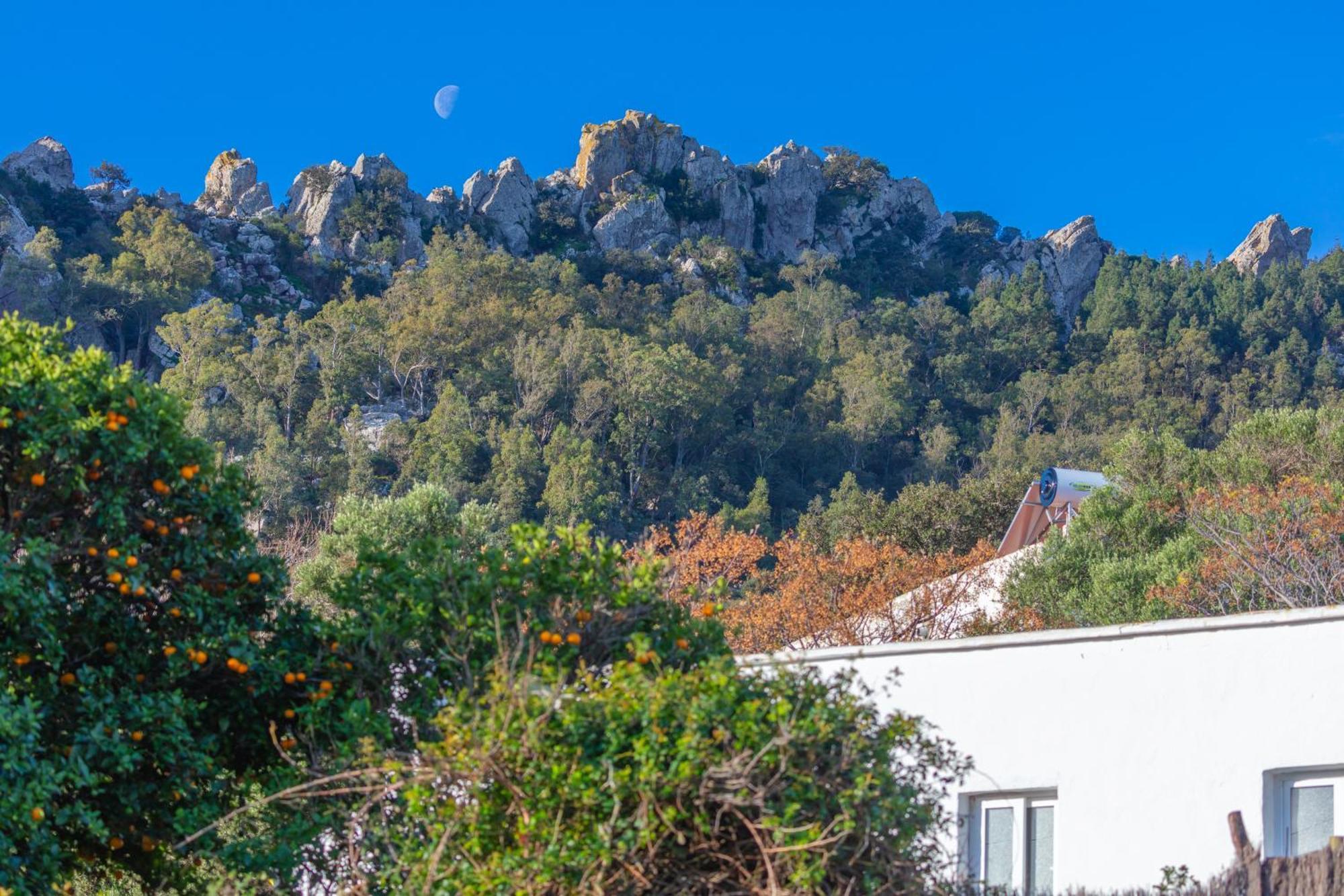 Casa Cortijo Piscina Privada Y Sauna タリファ エクステリア 写真